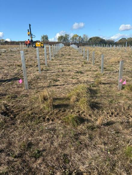 Solar piles set out across a field